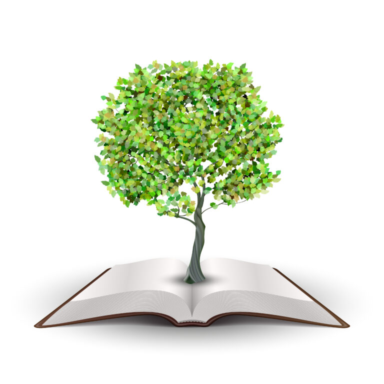 Peace, Conflict Management and Reconciliation Skills
